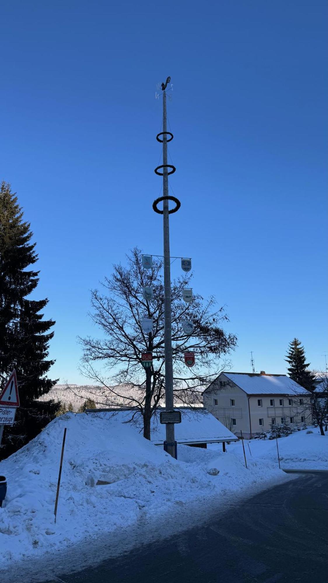 Mitterdorf Almberg X29 Appartement Mitterfirmiansreut Buitenkant foto